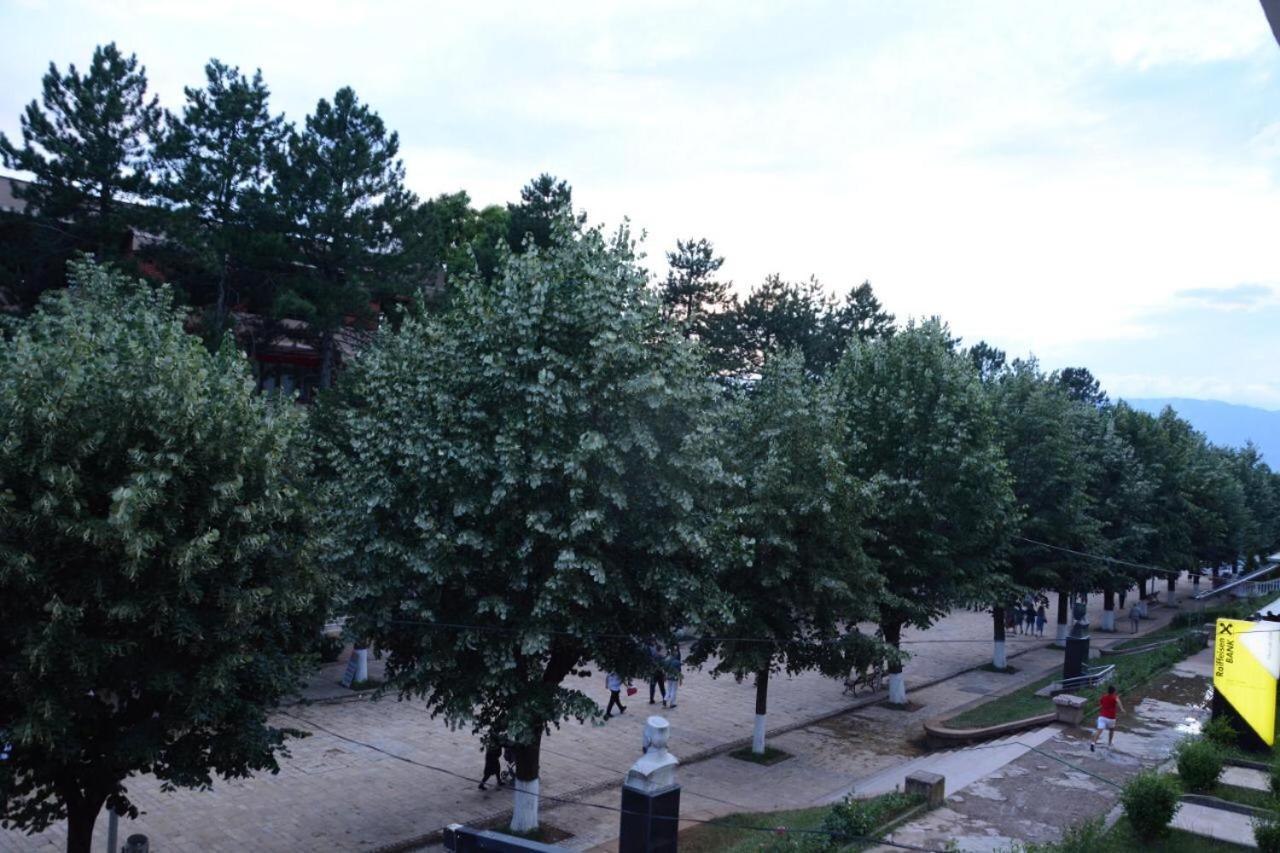 Royal Hotel Peshkopi Albania ภายนอก รูปภาพ